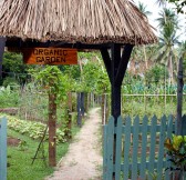 JEAN-MICHEL COUSTEAU RESORT