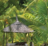 DINAROBIN BEACHCOMBER GOLF RESORT & SPA