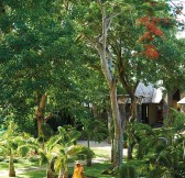 ROYAL PALM BEACHCOMBER LUXURY