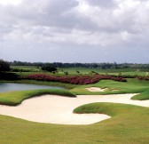 SANDY LANE 