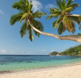 Kempinski Seychelles_BaieLazareBeachWithPalmTrees