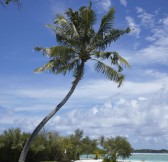 SHANGRI LA´S  VILLINGILI  RESORT & SPA - GOLF