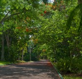 SANDALS OCHI BEACH RESORT