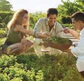 SHANTI MAURICE RESORT & SPA