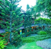 PALM GARDEN RESORT