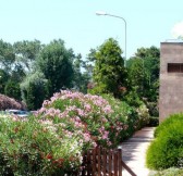 COSMOPOLITAN GOLF & BEACH RESORT 