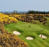 DUBLIN + DRUIDS GLEN RESORT - GOLF LET