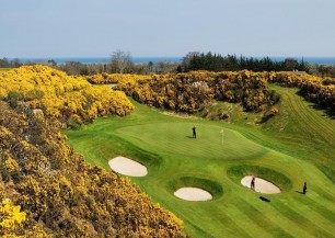 DUBLIN + DRUIDS GLEN RESORT - golf let  | Golfové zájezdy, golfová dovolená, luxusní golf