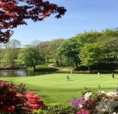 DUBLIN + DRUIDS GLEN RESORT - GOLF LET