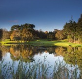 DUBLIN + DRUIDS GLEN RESORT - GOLF LET