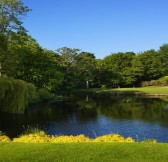 DUBLIN + DRUIDS GLEN RESORT - GOLF LET