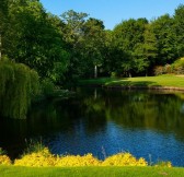 DUBLIN + DRUIDS GLEN RESORT - GOLF LET