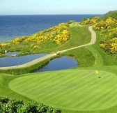 DUBLIN + DRUIDS GLEN RESORT - GOLF LET