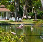 CATALONIA BAVARO BEACH GOLF & CASINO RESORT