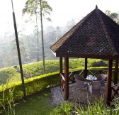 CEYLON TEA TRAILS