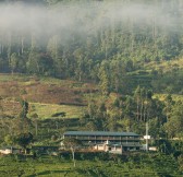 CEYLON TEA TRAILS