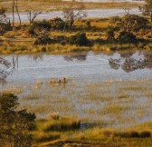 BELMOND EAGLE ISLAND CAMP