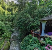 HANGING GARDENS UBUD