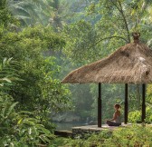 FOUR SEASONS RESORT BALI AT SAYAN