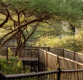 FOUR SEASONS SERENGETI