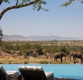 FOUR SEASONS SERENGETI