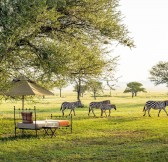 SINGITA GRUMETI SABORA TENTED CAMP