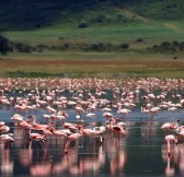 NGORONGORO CRATER LODGE