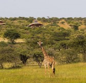 MAHALI MZURI SAFARI CAMP