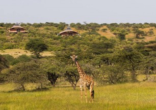 MAHALI MZURI SAFARI CAMP