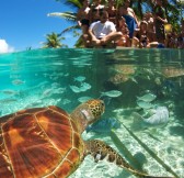 LE MERIDIEN BORA BORA