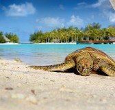 LE MERIDIEN BORA BORA