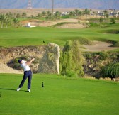 THE CHEDI MUSCAT