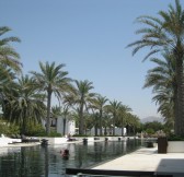 THE CHEDI MUSCAT