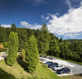 PYTLOUN WELLNESS HOTEL HARRACHOV