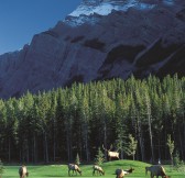 FAIRMONT BANFF SPRINGS