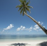 FOUR_SEASONS_DESROCHES_ISLAND_14