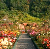 Madeira-hotel-Pestana-Quinta-do-Arco-Nature-Rose-Garden-34