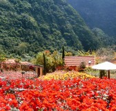 Madeira-hotel-Pestana-Quinta-do-Arco-Nature-Rose-Garden-35