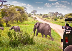 SAFARI V TANZÁNII + RELAX NA ZANZIBARU  S ČESKÝM PRŮVODCEM