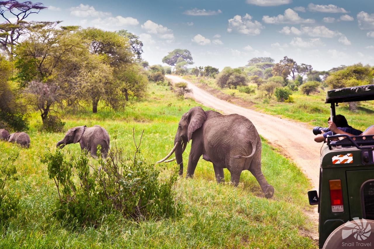 SAFARI V TANZÁNII + RELAX NA ZANZIBARU  S ČESKÝM PRŮVODCEM 