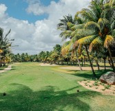 MAURITIUS_-_PARADISE_BEACHCOMBER_17