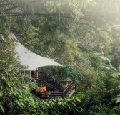 Thajsko-Chiang-Rai-Four-Seasons-Tented-camp-4