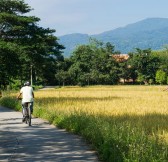 Thajsko-Chiang-Rai-Four-Seasons-Tented-camp-25