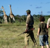 Botswana-Okavango-Jao-Camp-Safari-10