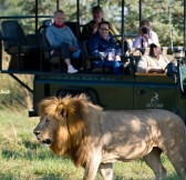 Botswana-Okavango-Jao-Camp-Safari-12