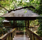 Amanpulo, Philippines – Accommodation, Treetop Casita, Bridge 1_19769