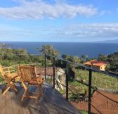 Azory - Sao Jorge - INTACT FARM 5