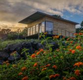 Azory - Sao Jorge - INTACT FARM 4