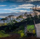 Azory - Sao Jorge - INTACT FARM 3
