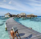 Maledivy-Coco-Bodu-Hithi-28